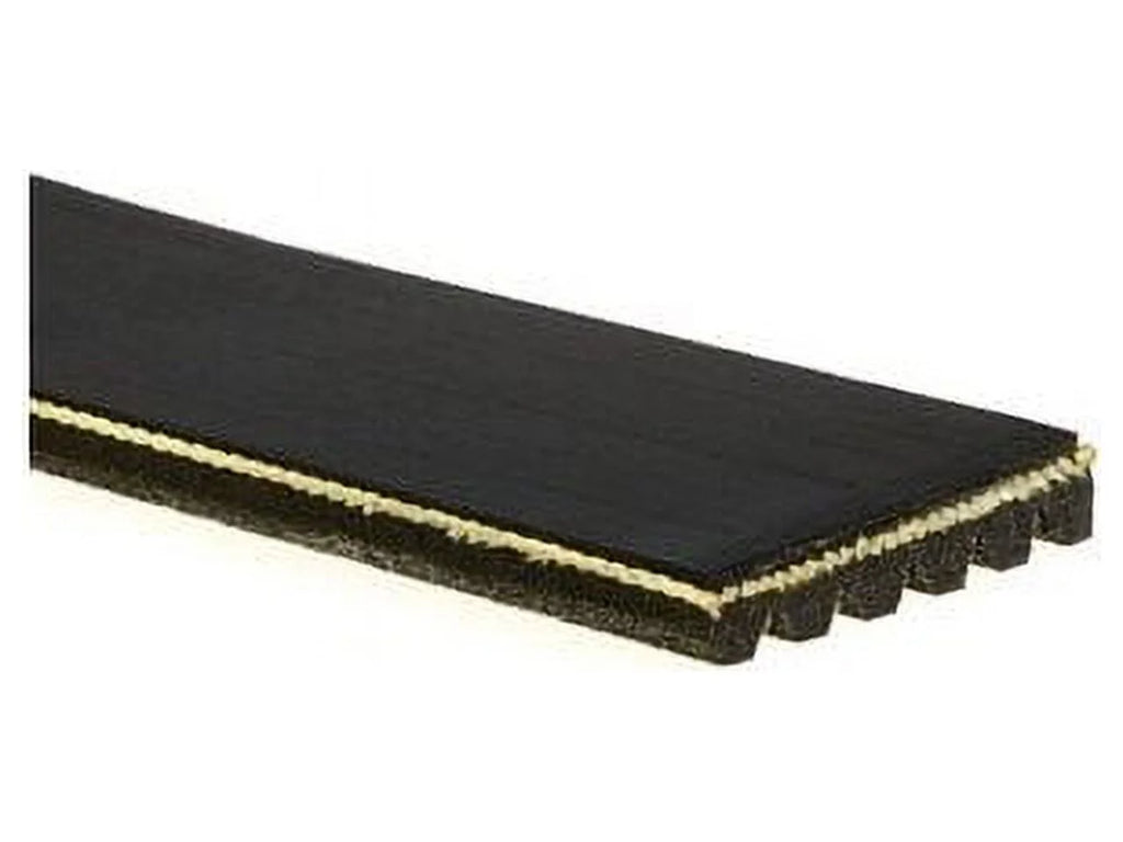 Multi Rib Belt - Suitable with 1999 - 2004 Jeep Grand Cherokee 2000 2001 2002 2003