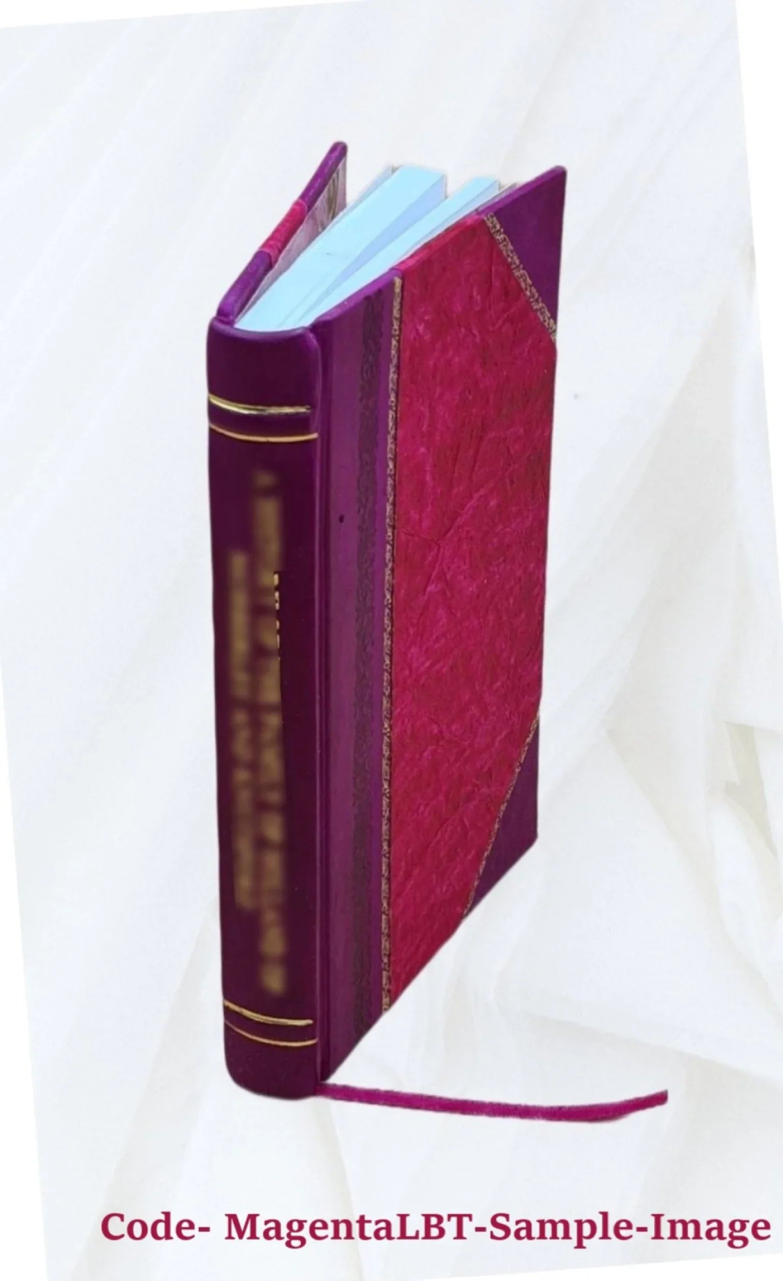Auf welchem Wege kamen die Goidelen vom Kontinent nach Irland? Von Hrn. H. Zimmer [dagger] ... 1912 [Leather Bound]