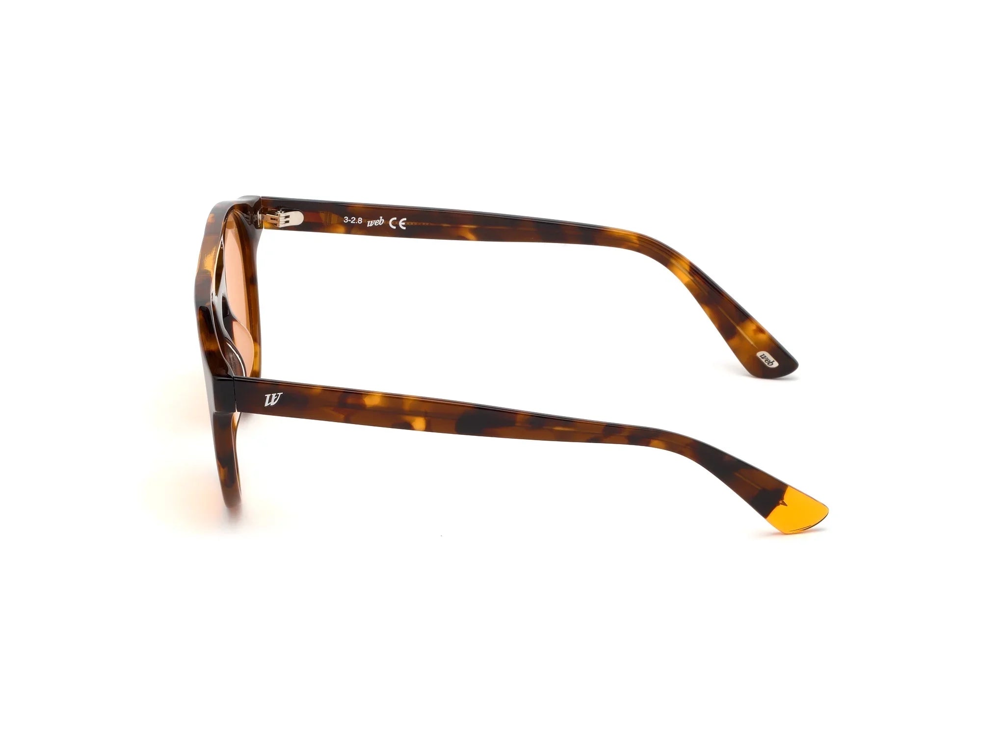 Web sunglasses WE0262 UNISEX 51/19/145 56J HAVA
