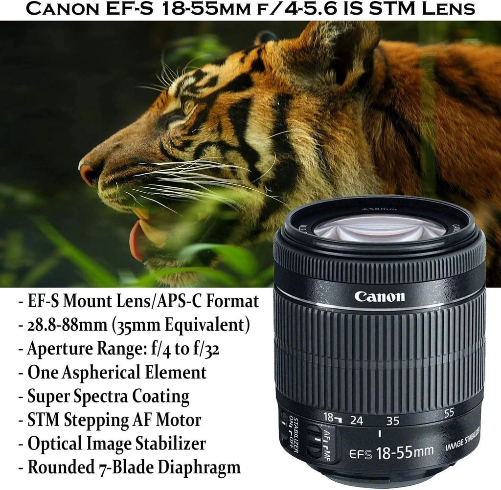Canon EOS Rebel SL3 DSLR with EF-S 18-55mm STM Lens, 32GB Memory, Case, Flash, and Accessory Bundle