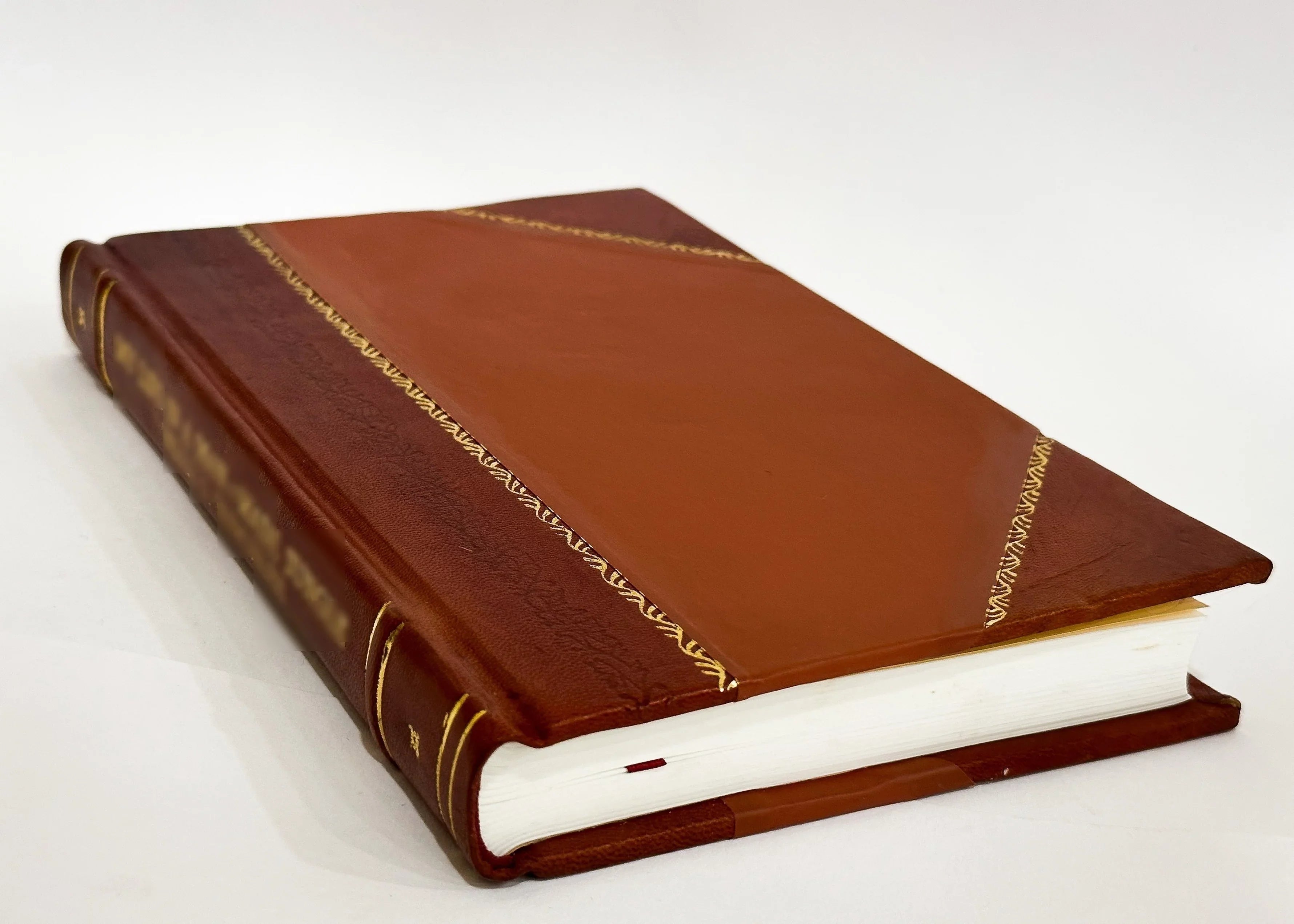Descrizione Del Monumento Di Gastone Di Foix / Giuseppe Bossi (1852) (1852) [Leather Bound]