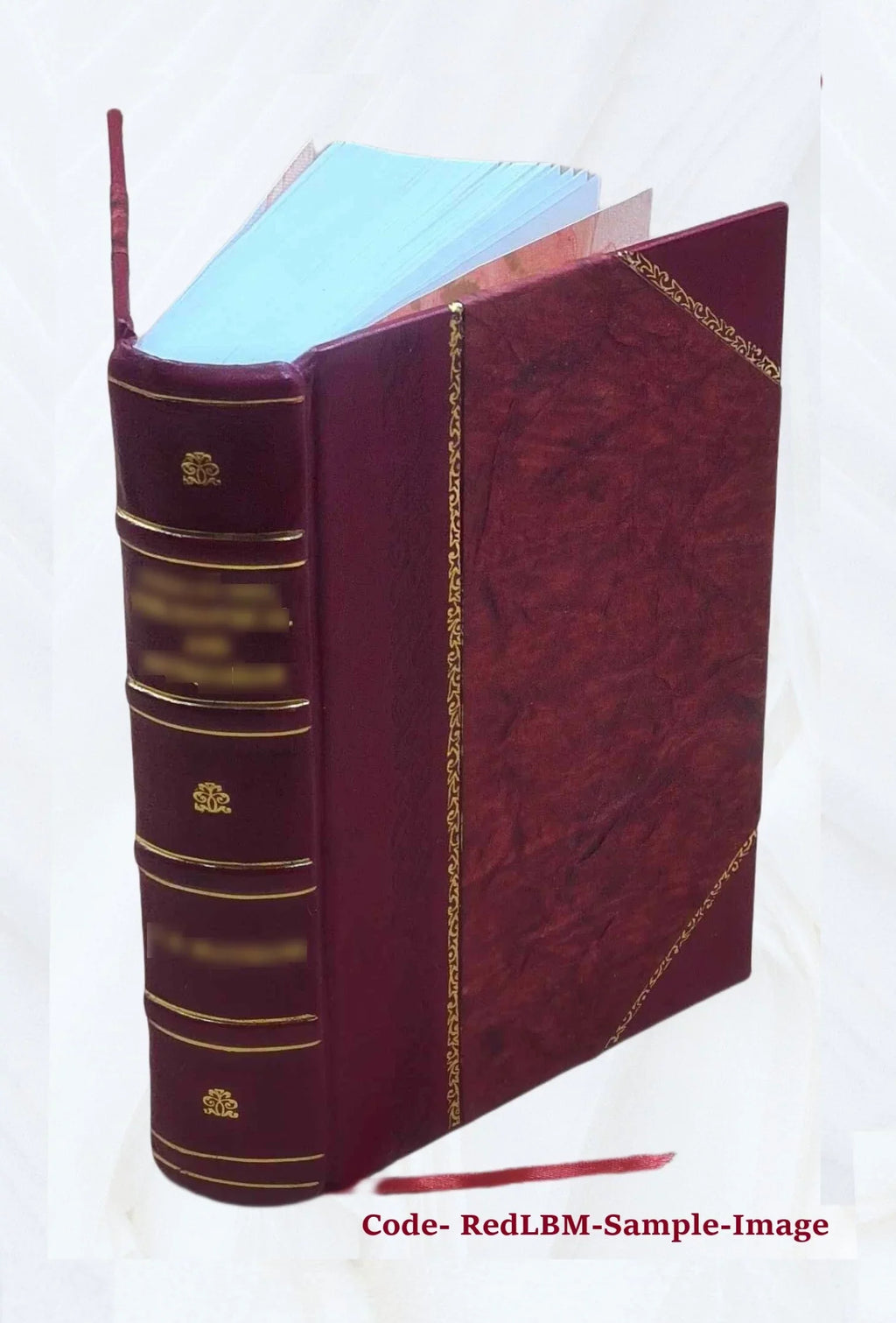 Cinderella three hundred and forty-five variants of Cinderella, Catskin, and Cap o'Rushes 1893 [Leather Bound]