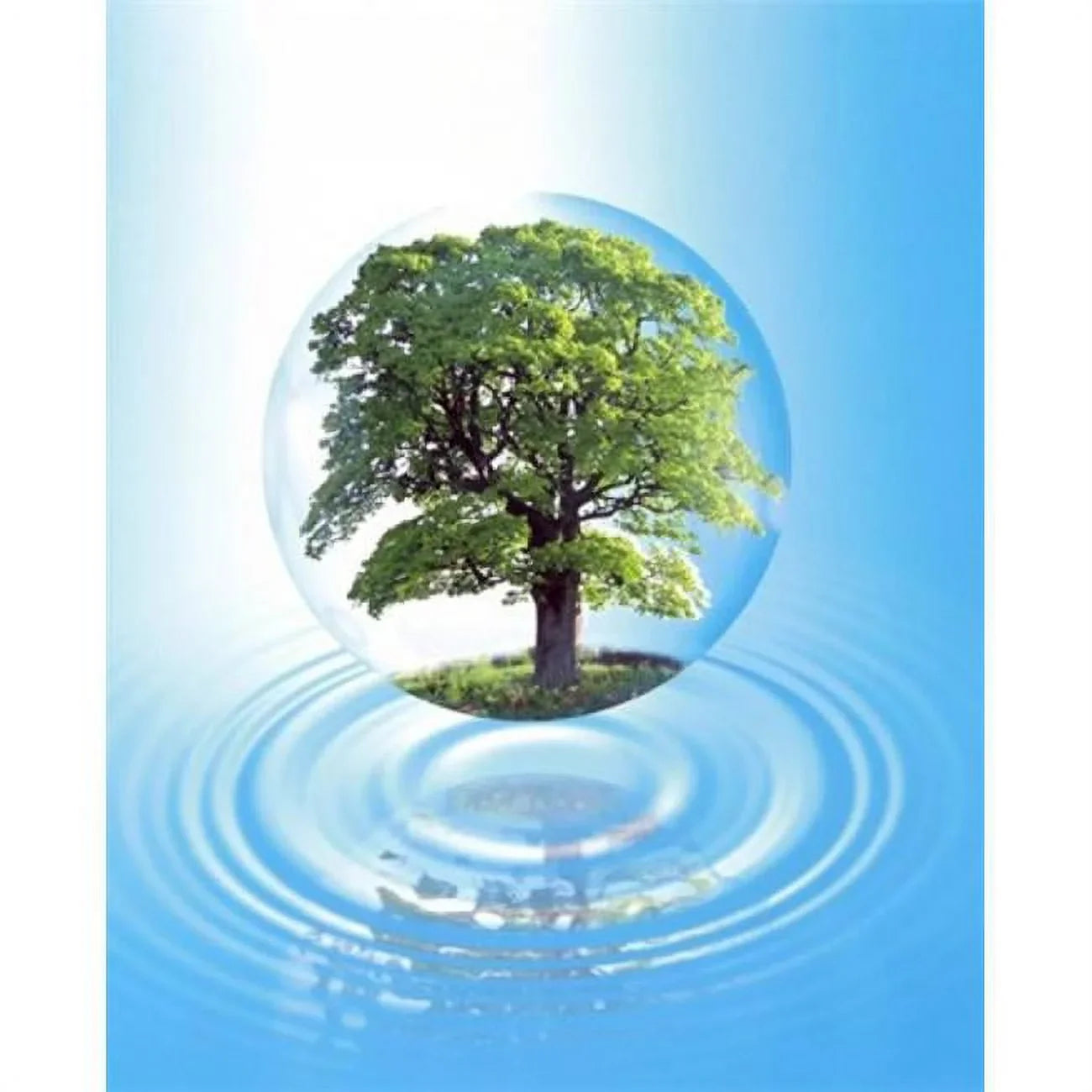 A clear sphere with a full tree floats over a large water ring with reflection Poster Print by - 20 x 24
