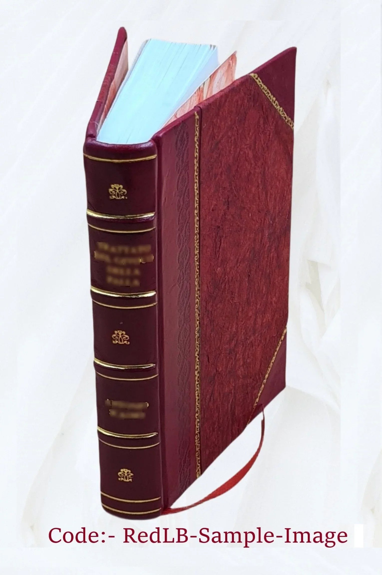 [Omnia quae extant juxta Benedictinorum versionem] Volume 10 1835 [Leather Bound]