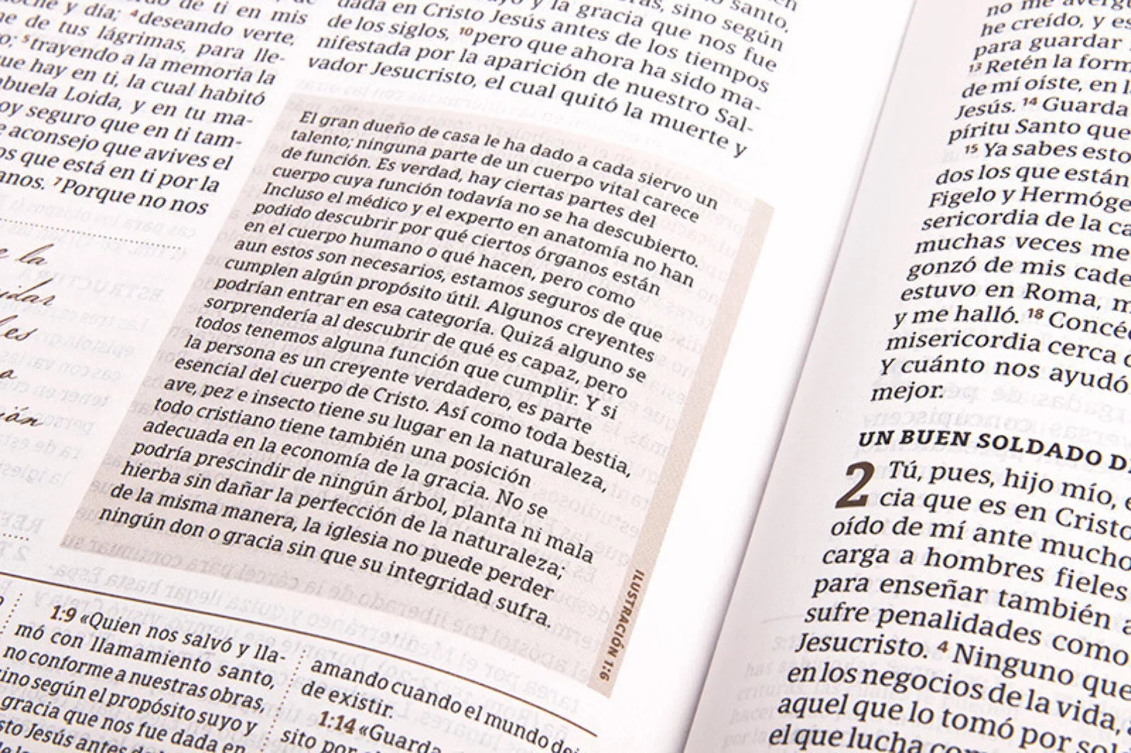 RVR 1960 Biblia de estudio Spurgeon, negro/marrón símil piel Wrap