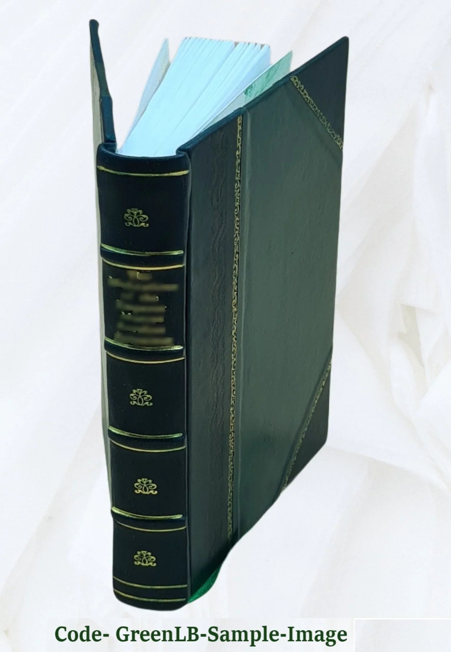 The old helmet. By the author of "Wide, wide world" ... Volume v. 2 1864 [Leather Bound]