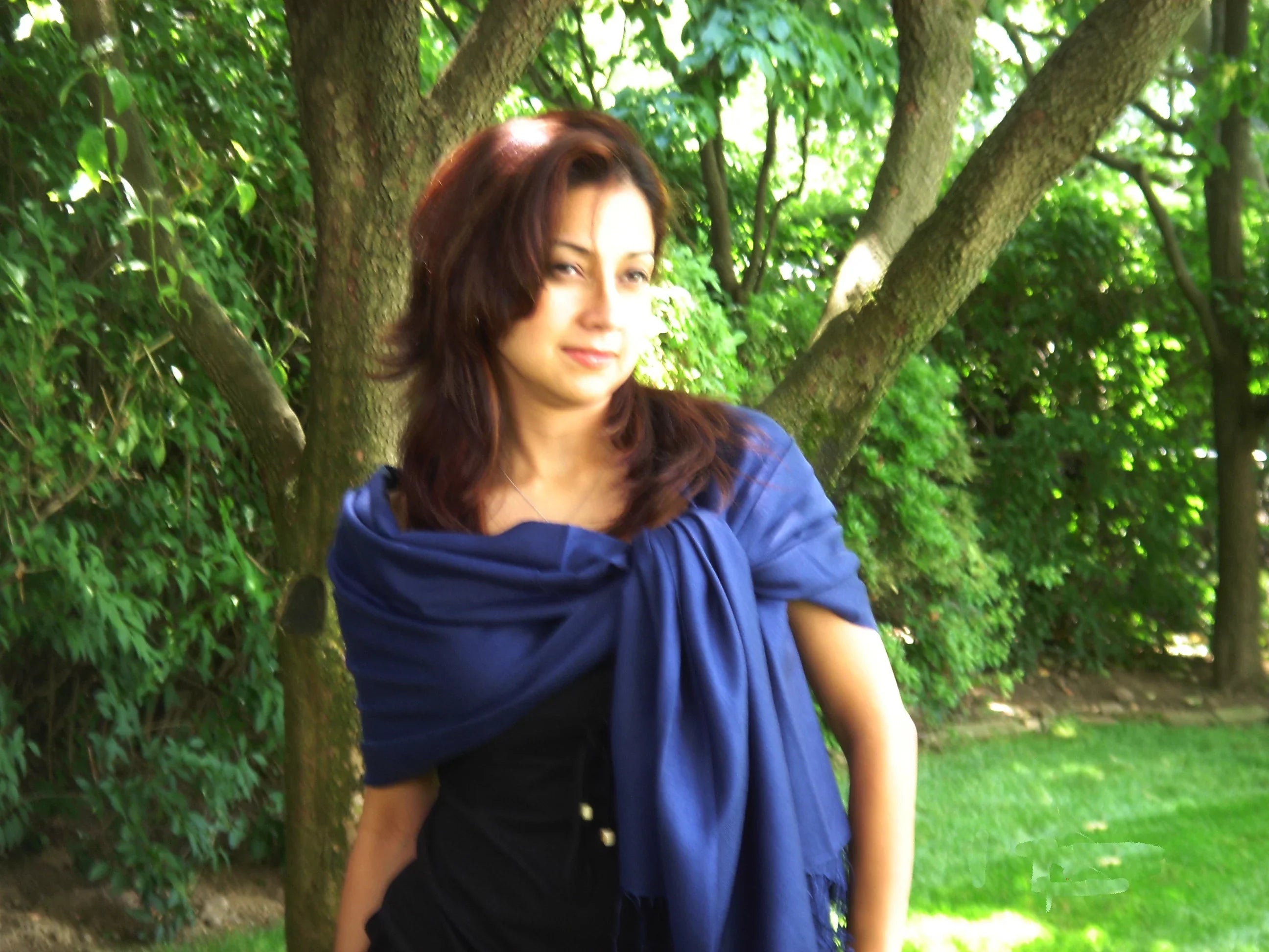 Scarf/Scarves/Shawl/Shawls/Stole/Wrap/Pashmina Scarf/Pashmina Shawl/Cashmere/Cashmere Scarf/Wool/Silk (Inky Navy)